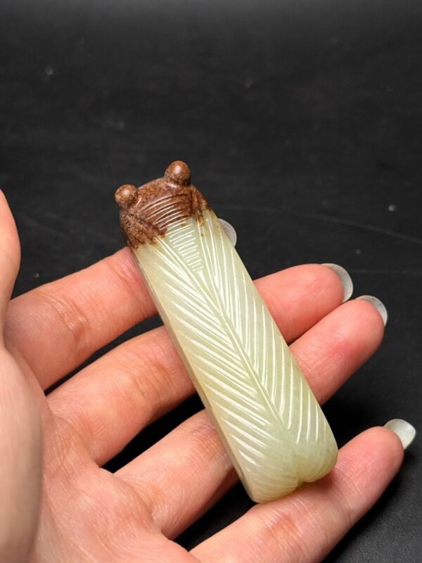 Hetian jade cicada belt buckle, rich and prosperous, good luck, exquisite and unique shape - Image 9