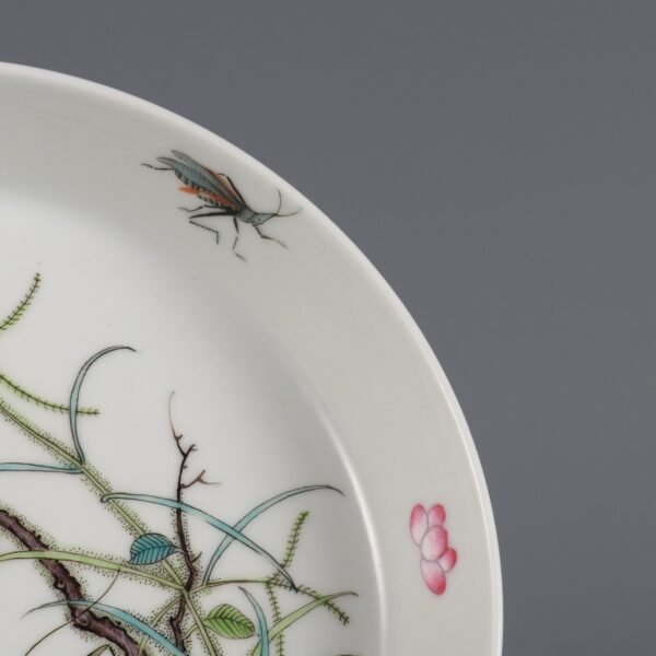 Qing Dynasty Yongzheng period powder color insect grass pattern flat foot plate - Image 6